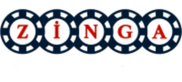 https://zingachip.com